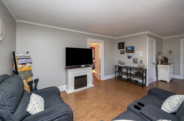 living room featuring hardwood / wood-style flooring and crown molding