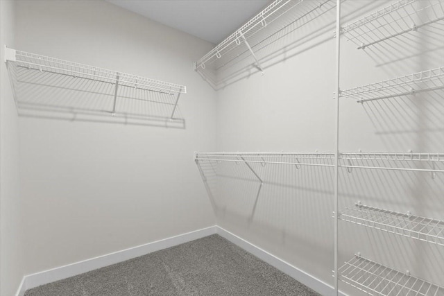 1995 S Warrior Ln, Waukee, IA 50263 - walk in closet with carpet floors