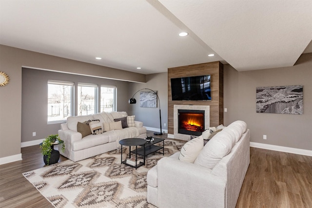 living room with a fireplace and wood-type flooring