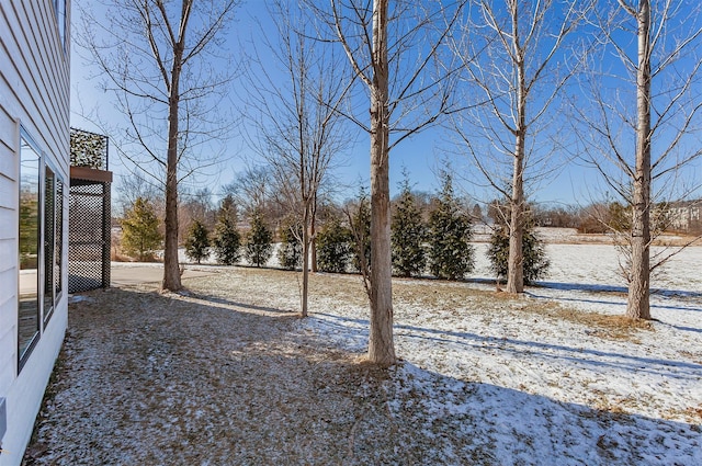 view of yard covered in snow