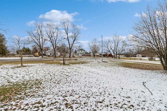 view of yard covered in snow