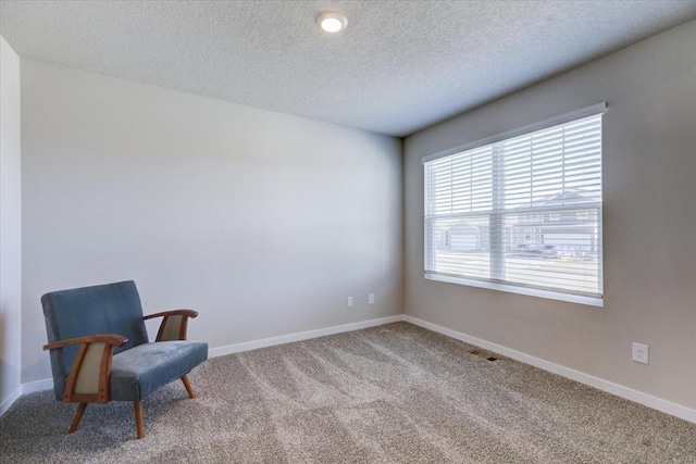 sitting room with carpet floors and a textured ceiling