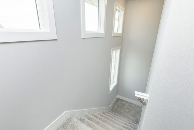 stairs with carpet flooring