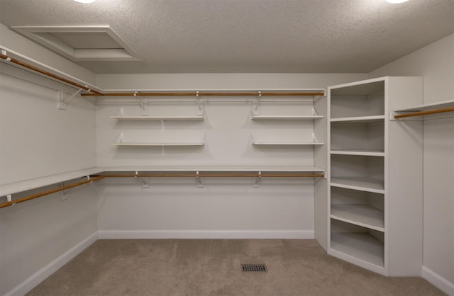 spacious closet with light carpet