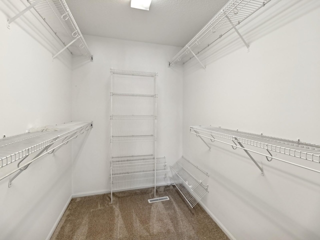 walk in closet with carpet