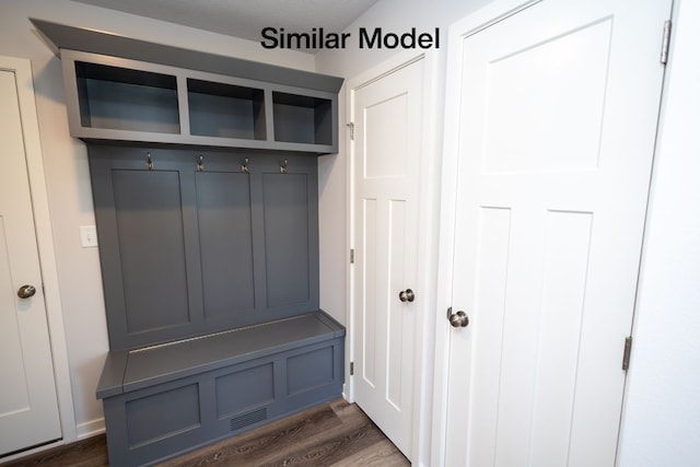 mudroom with dark wood-type flooring