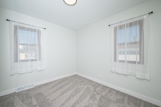 empty room featuring a wealth of natural light and carpet flooring