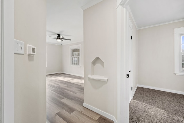 interior space featuring ornamental molding and light hardwood / wood-style flooring