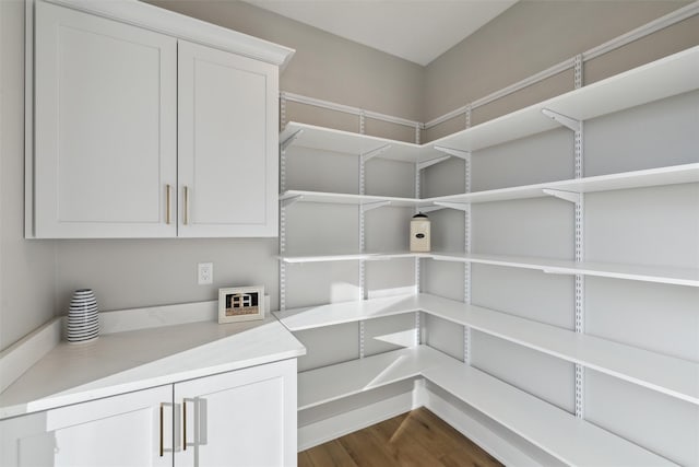 18256 Alderleaf Dr, Clive, IA 50325 - view of storage area