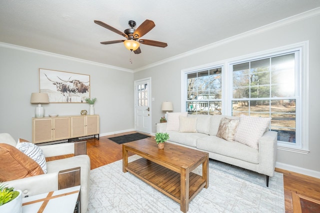 living room with ornamental molding, light hardwood / wood-style floors, and a wealth of natural light