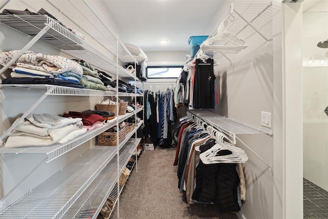 walk in closet featuring carpet flooring