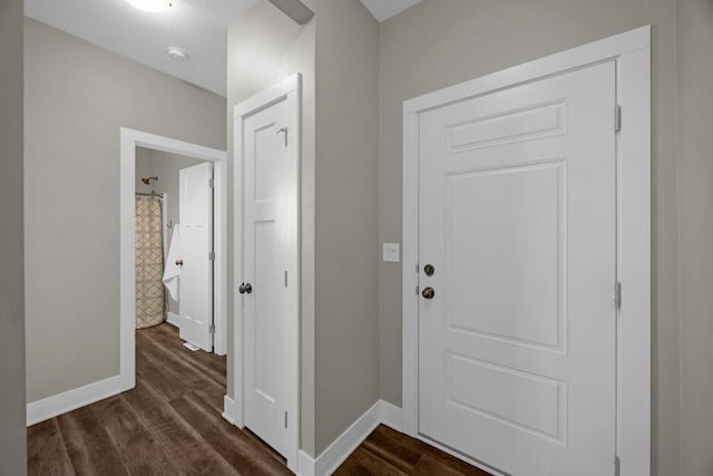 entryway with dark hardwood / wood-style flooring