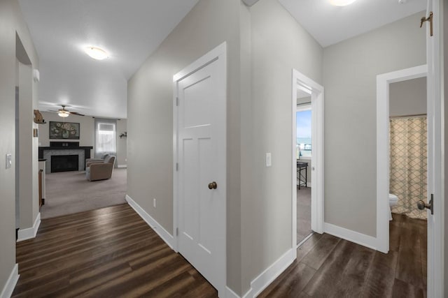 hallway with dark wood-type flooring