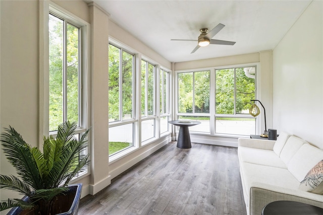 sunroom with ceiling fan and a wealth of natural light