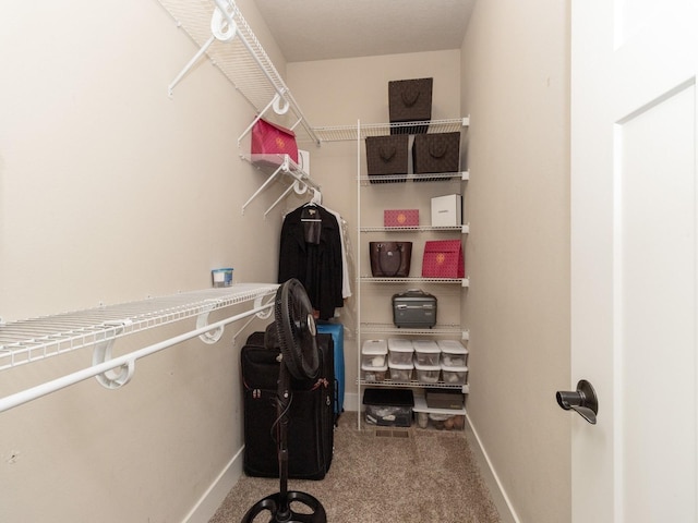 walk in closet featuring carpet