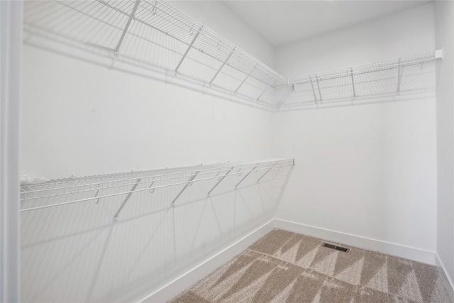 spacious closet featuring carpet