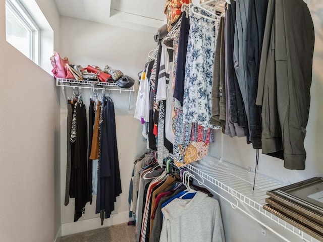 view of spacious closet