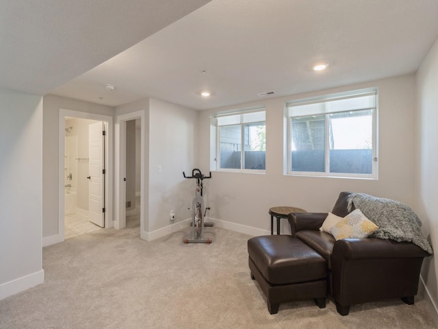 living area with light carpet