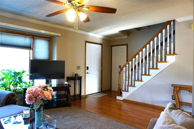 living room featuring a textured ceiling, ceiling fan, ornamental molding, and wood-type flooring