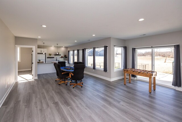 dining space with hardwood / wood-style floors