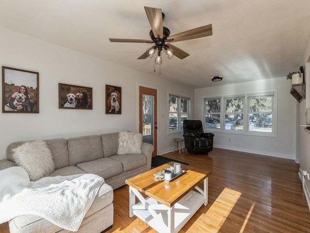 living room with ceiling fan and wood-type flooring