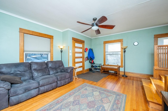 living room with ceiling fan, wood-type flooring, and crown molding