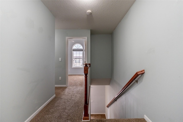 stairway with a textured ceiling and carpet flooring