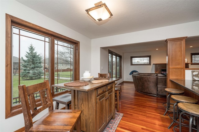 dining space with a textured ceiling, dark hardwood / wood-style flooring, and plenty of natural light