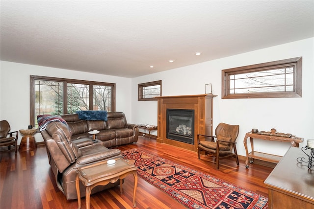 living room with wood-type flooring