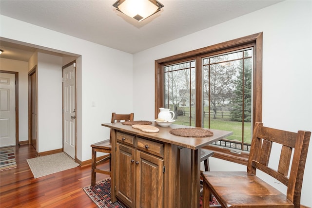 dining room with dark hardwood / wood-style floors and plenty of natural light