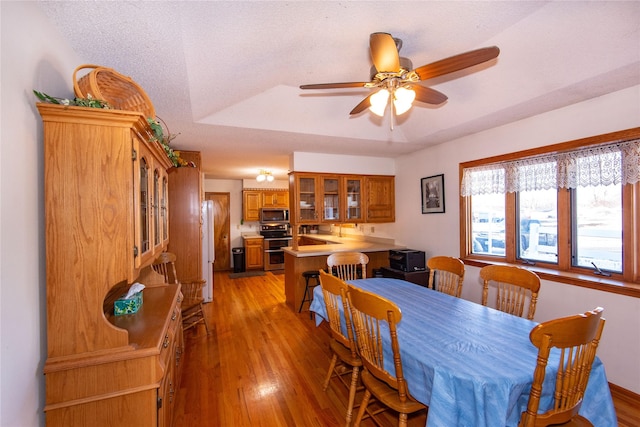 dining room featuring ceiling fan, a textured ceiling, a tray ceiling, and light wood-type flooring