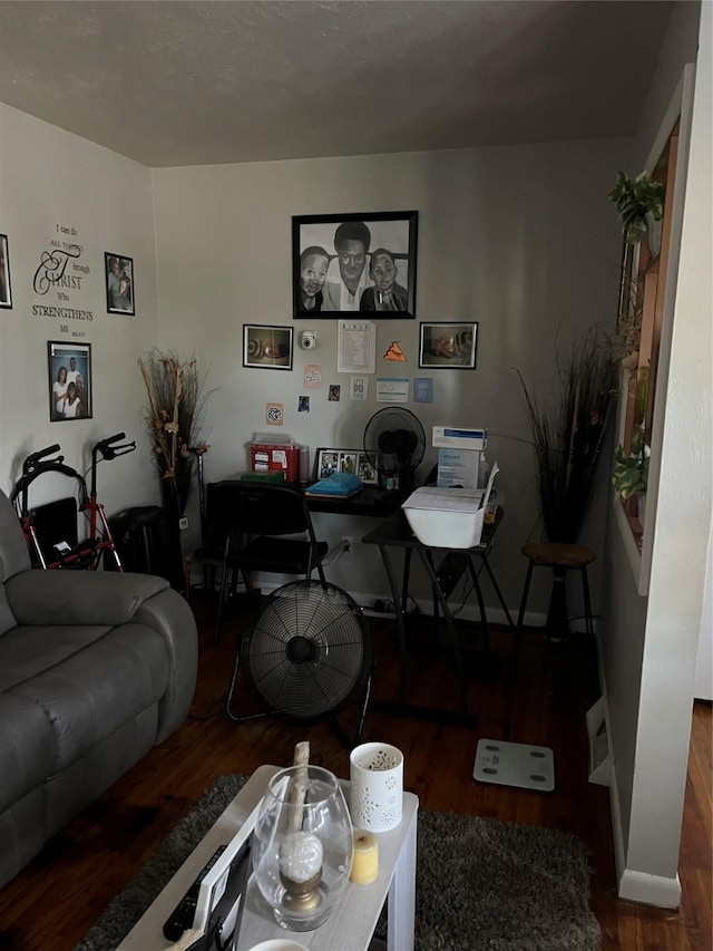 living room featuring hardwood / wood-style floors