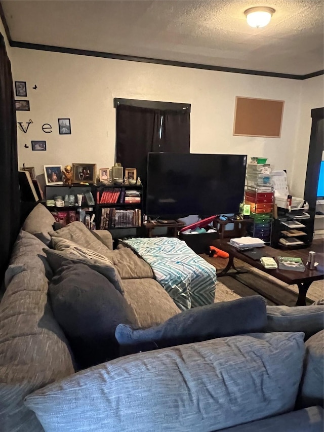 living room with a textured ceiling and crown molding