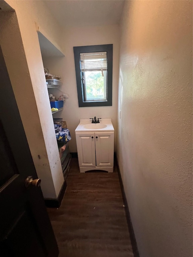 bathroom featuring vanity and wood-type flooring