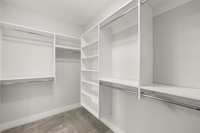 spacious closet with carpet