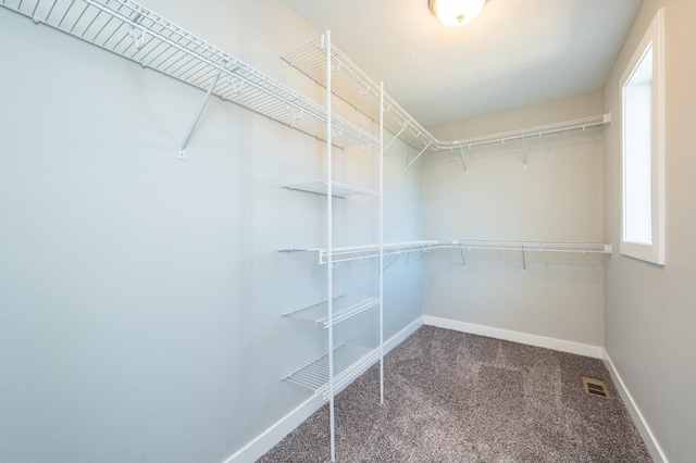 spacious closet with carpet