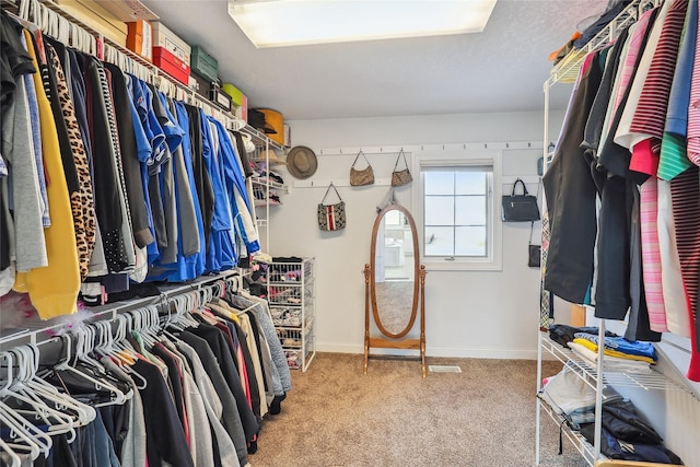 spacious closet featuring carpet flooring