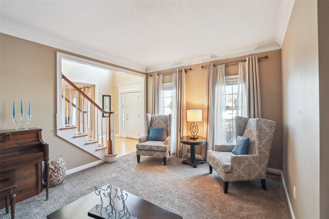 sitting room with carpet flooring and crown molding