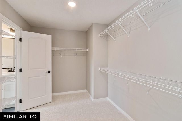 spacious closet with carpet floors