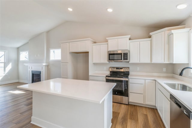 4207 NE 3rd St, Ankeny, IA 50021 - kitchen with lofted ceiling, light wood-style flooring, stainless steel appliances, and a sink