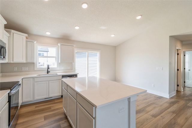 4207 NE 3rd St, Ankeny, IA 50021 - kitchen featuring stainless steel appliances, a sink, light wood-style floors, white cabinetry, and light countertops