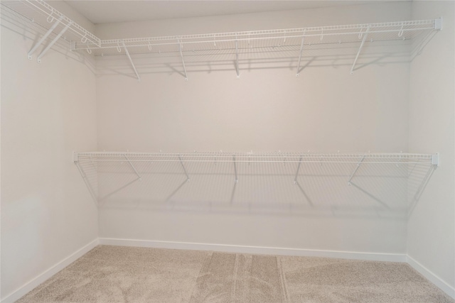 4207 NE 3rd St, Ankeny, IA 50021 - spacious closet featuring carpet flooring