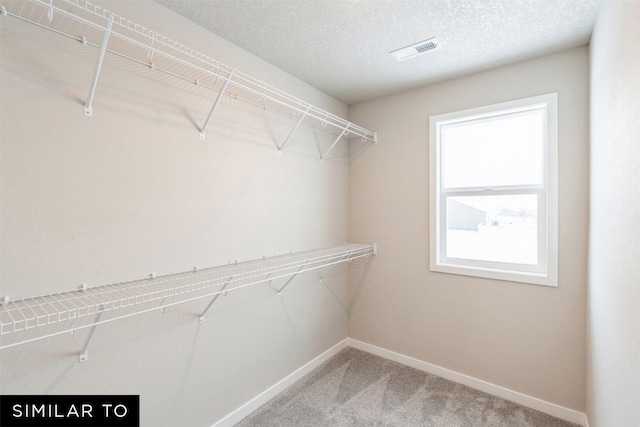 spacious closet with carpet