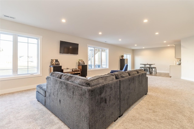 carpeted living room with plenty of natural light