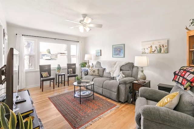 living room with ceiling fan and light wood-type flooring