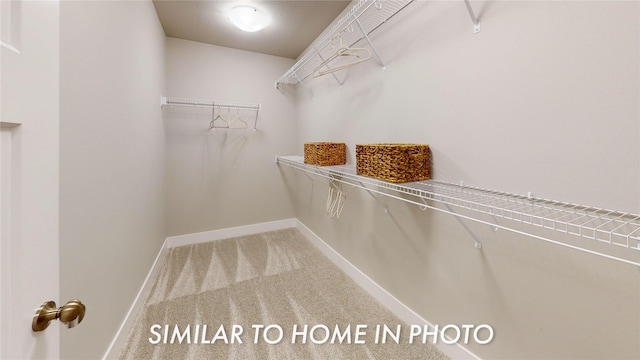 walk in closet with carpet