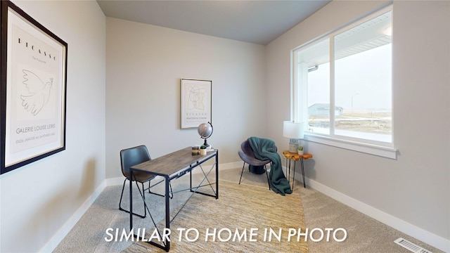 office with light colored carpet