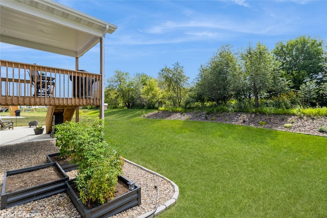 view of yard with a wooden deck and a patio area