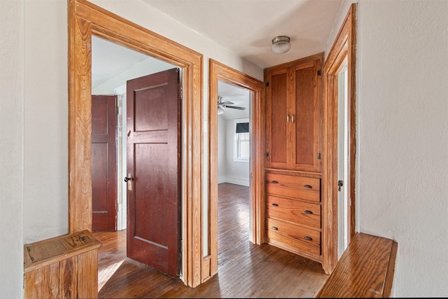 hallway with dark wood-type flooring