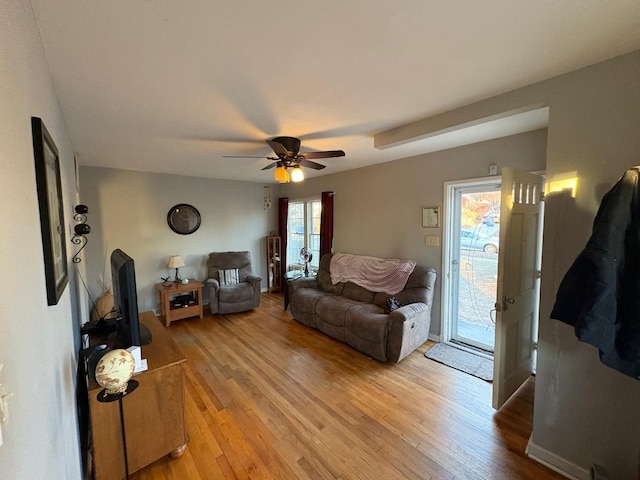 living room featuring ceiling fan and light wood-type flooring